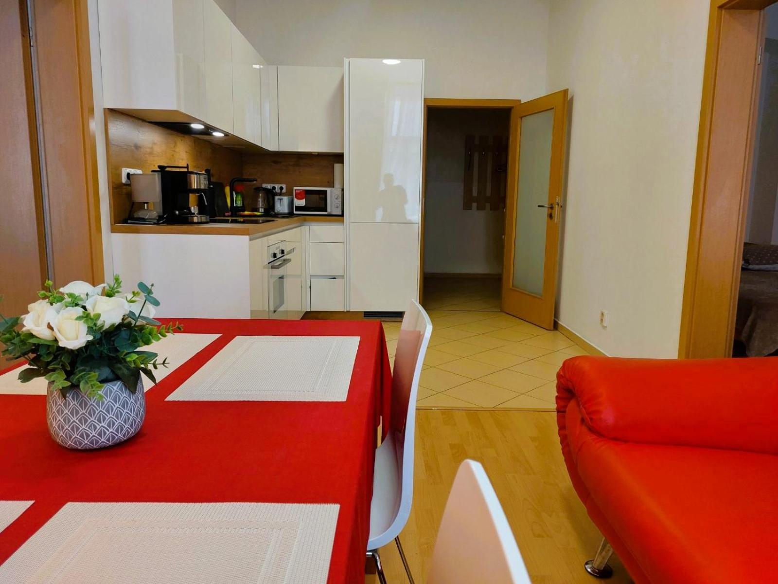 Prostorny V Centru 3 Kk 80 M2 Apartment *