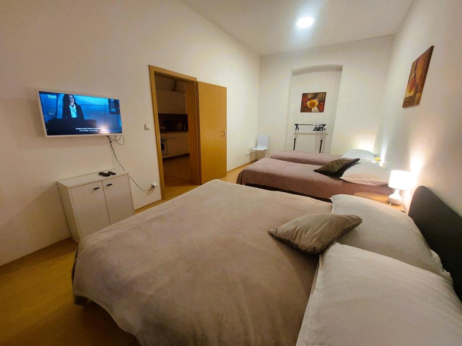 Apartment Prostorny V Centru 3 Kk 80 M2 *